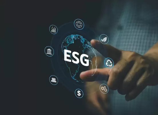 ESG e investimentos: qual o impacto no negócio?