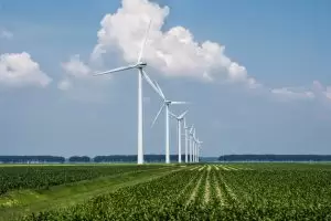 O que é Seguro Garantia de Compra e Venda de Energia e de Performance Contratual?
